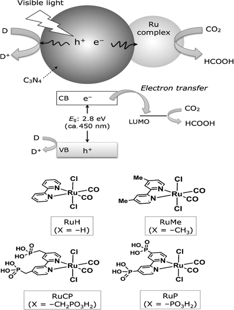 The photocatalytic reduction of CO2 via Ru complexes structure and Ru complex/C3N4 hybrid photocatalyst. Reprinted with permission from Kuriki (2015)).