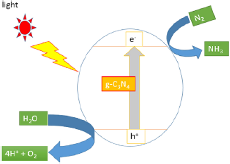 Nitrogen fixation using g-C3N4 mechanism. Reprinted with permission from Ajiboye et al. (2020). Copyright © 2020, Elsevier.