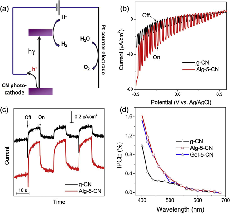 Photoelectrochemical (PEC) properties of carbon nitrides in 0.1 M KCl aqueous solution. (a) The PEC cell configuration and possible charge transfer (the reference electrode was omitted for clarity). (b) Characteristic photocurrents at g-CN (black) and Alg-5-CN (red) photocathode under a chopped sunlight simulator at a scan rate of 10 mV/s. (c) The transient current response of g-CN (black) and Alg-5-CN (red) at −0.2 V vs Ag/AgCl (sat. KCl) under chopped monochromatic light at 440 nm. (d) Photo action spectra of g-CN (black), Alg-5-CN (red), and Gel-5-CN (blue) biased at −0.2 V vs Ag/AgCl (sat. KCl). Reprinted with permission from Zhang (2013).