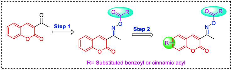 Design strategy of target coumarin compounds.