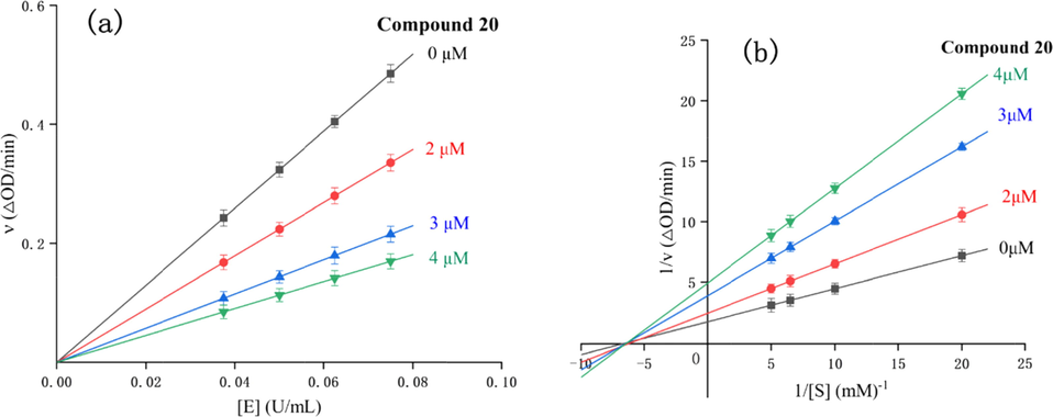 Inhibitory mechanism (a) and type assay (b) of compound 20 against α-glucosidase.