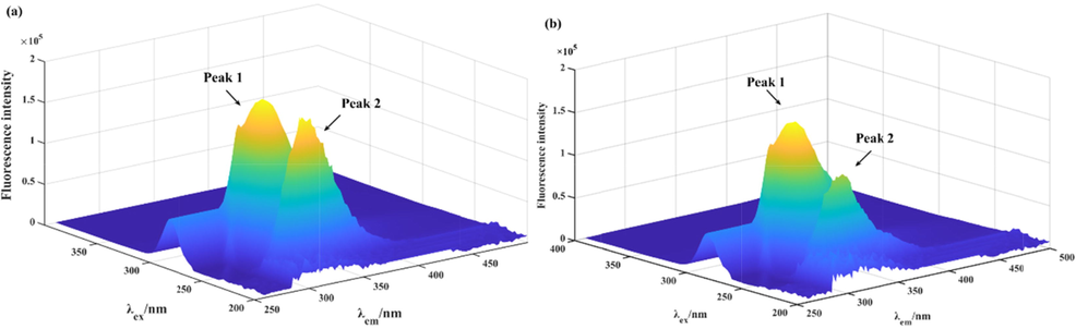The 3D fluorescence spectra of α-glucosidase (a) and α-glucosidase with compound 20 system (b).