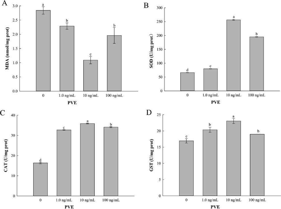 Effect of Paecilomyces variotii extract (PVE) on MDA content and antioxidant enzyme activities in C. elegans. L4 stage wild-type N2 nematodes were exposed to PVE at 0 (M9 buffer), 1.0, 10 and 100 ng/ml for 24 h. (A) MDA content; (B) SOD activity; (C) CAT activity; (D) GST activity. The results were expressed as mean ± standard error of the mean. The statistical significance of difference was analyzed by one-way ANOVA with Student-Newman-Keuls test. Bars with no letters in common are significantly different (p < 0.05).