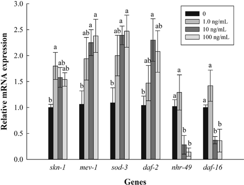 Effect of Paecilomyces variotii extract (PVE) on expression of genes related to oxidative stress. L4 stage wild-type N2 nematodes were exposed to PVE at 0 (M9 buffer), 1.0, 10 and 100 ng/ml for 24 h. The results were expressed as mean ± standard error of the mean. The statistical significance of difference was analyzed by one-way ANOVA with Student-Newman-Keuls test. Bars with no letters in common are significantly different (p < 0.05).