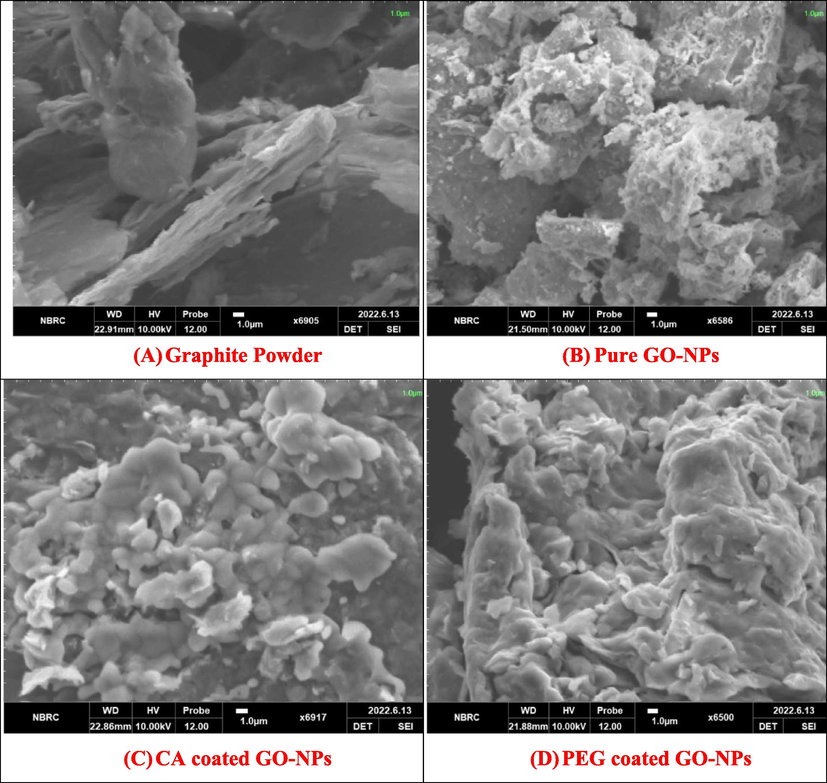 SEM analysis of Graphite powder, Pure and coated GO-NPs.