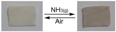 Photographs showing reversible color change under atmospheric and NH3(g).