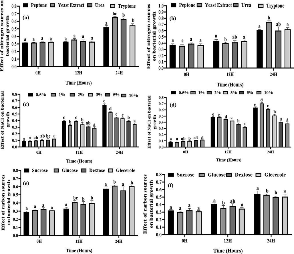 Effect of nitrogen, NaCl concentration, and carbon, on isolated bacterial growth. Here, (a) and (b) indicates the effect of nitrogen sources on growth of S-1 and S-15, respectively; (c) and (d) indicates the effect of NaCl concentrations on the growth of S-11and S-15, respectively; (e) and (f) indicates the effect of carbon source on the growth of S-11and S-15, respectively. Different letters indicate the significance differences at a p < 0.05 significance level.