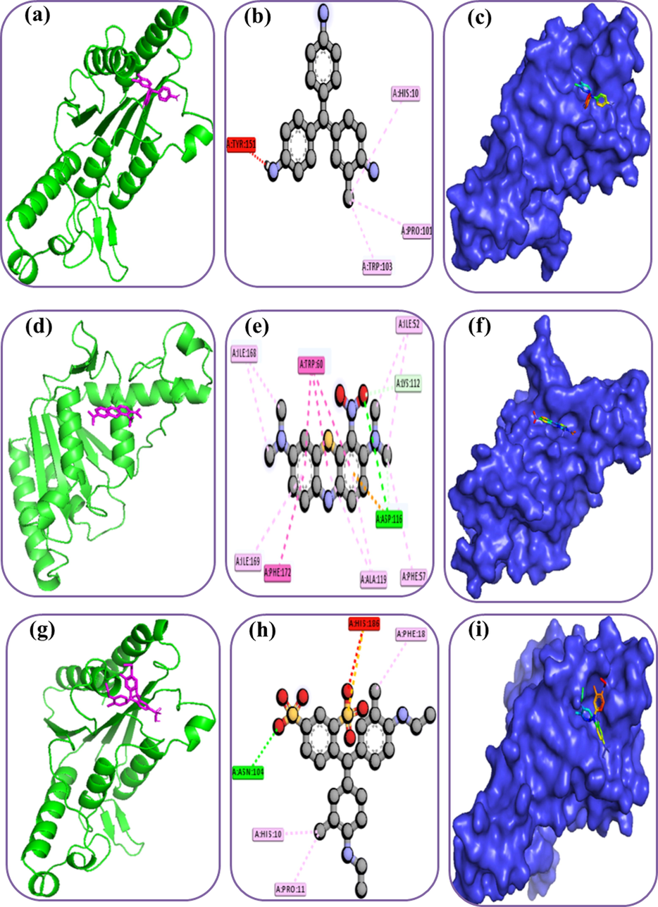 Docking simulation between Azoreductase proteins with the different dyes. Here, (a), (b), (c) indicates the Cartoon, 3D, surface view of the protein and Methylene Green dye complex; (d), (e), (f) indicates the Cartoon, 3D, surface view of the protein and basic violet dye complex; (g), (h), (i) indicates the Cartoon, 3D, surface view of the protein and acid blue dye complex.