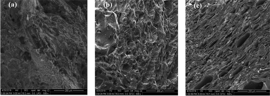 SEM images of (a) TW, (b) TW char and (c) TWAC (magnification of 500x).