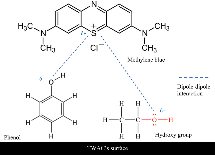 The potential mechanisms of MB interactions with functional groups in TWAC’s surface.