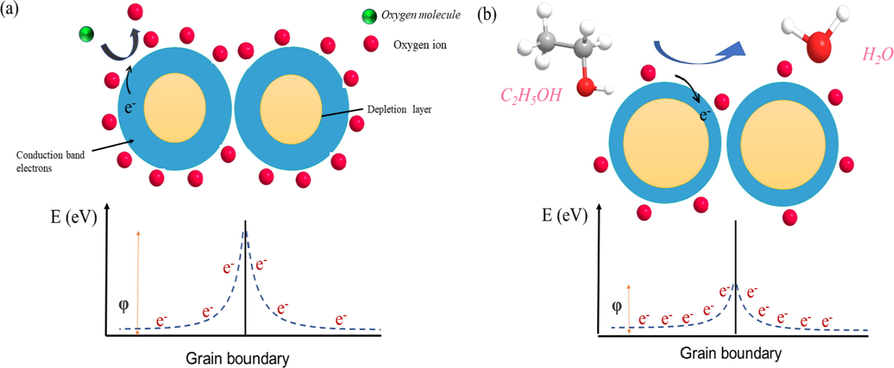 The proposed gas sensing mechanism (a) before and (b) after ethanol exposure.