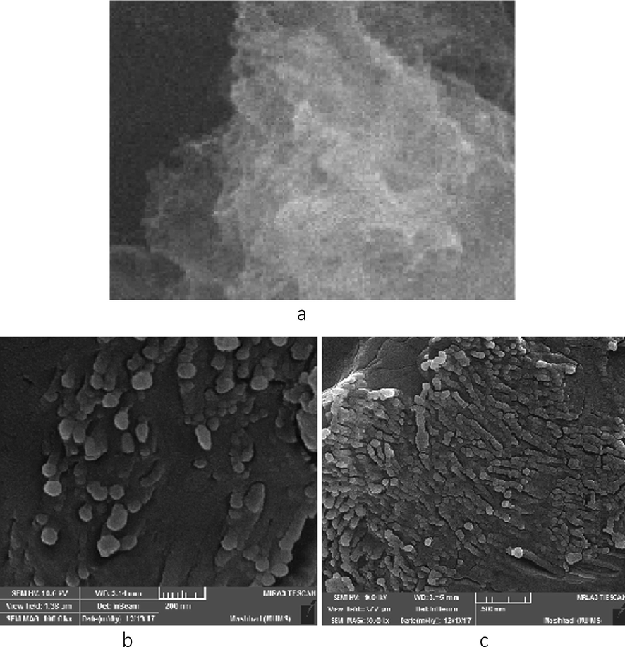 3a. SEM of g-BN, 3b, 3c. SEM of C-dots/g-BN.