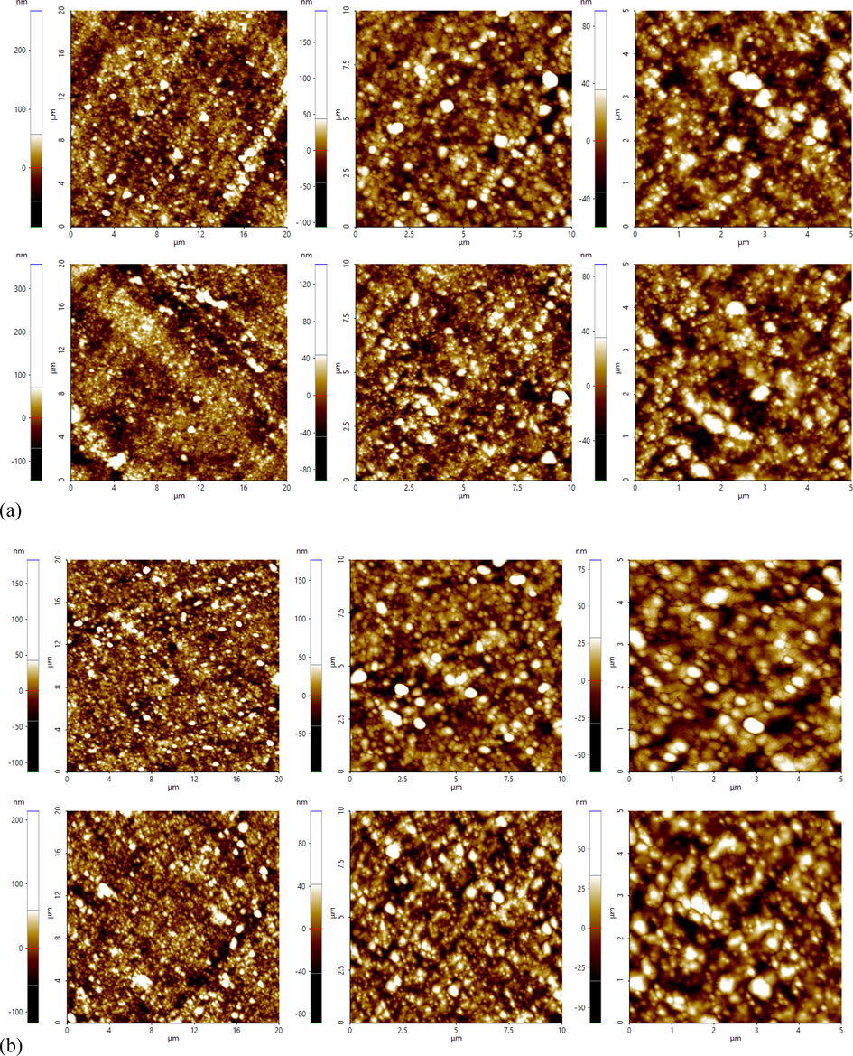 AFM images showing the silica dispersion of compound collected from cured compound: (a) Si-50, (b) RHS-50.