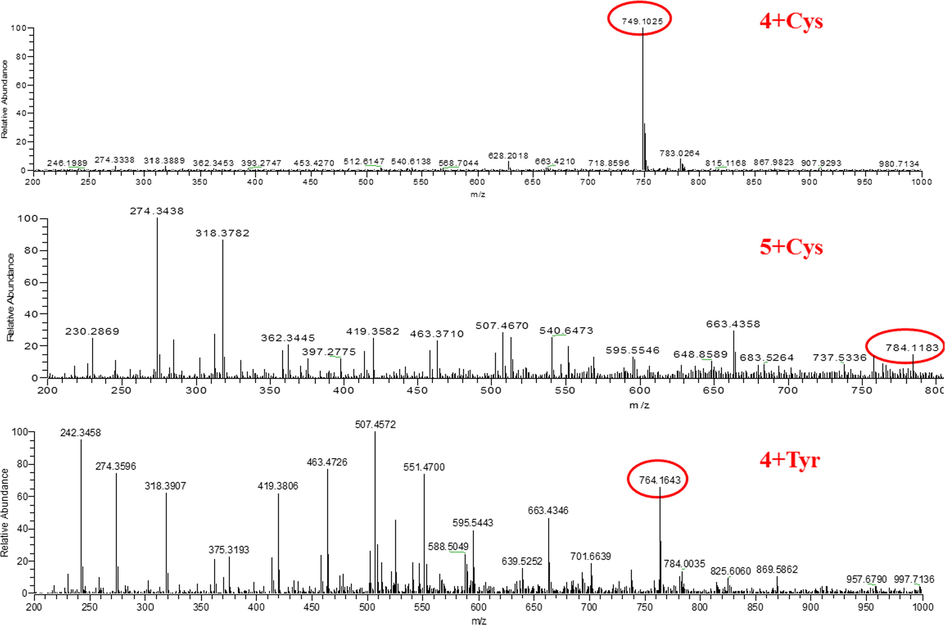 Mass spectral analysis of probes 4 and 5 after incorporation of amino acids.