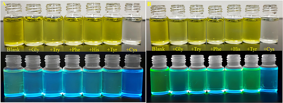 Natural light pictures of compounds 4 and 5 (100 μM in DMSO solution) after addition of 300 eq of different amino acid solutions respectively with 365 nm UV lamp. (A) Compound 4; (B) Compound 5.