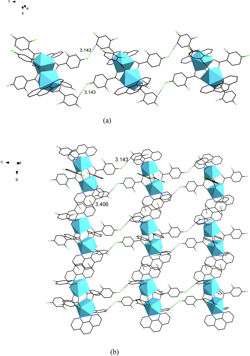 (a) The one-dimensional chain structure along the crystallographic c-axis. (b) The two-dimensional faceted supramolecular structure along the bc-plane.