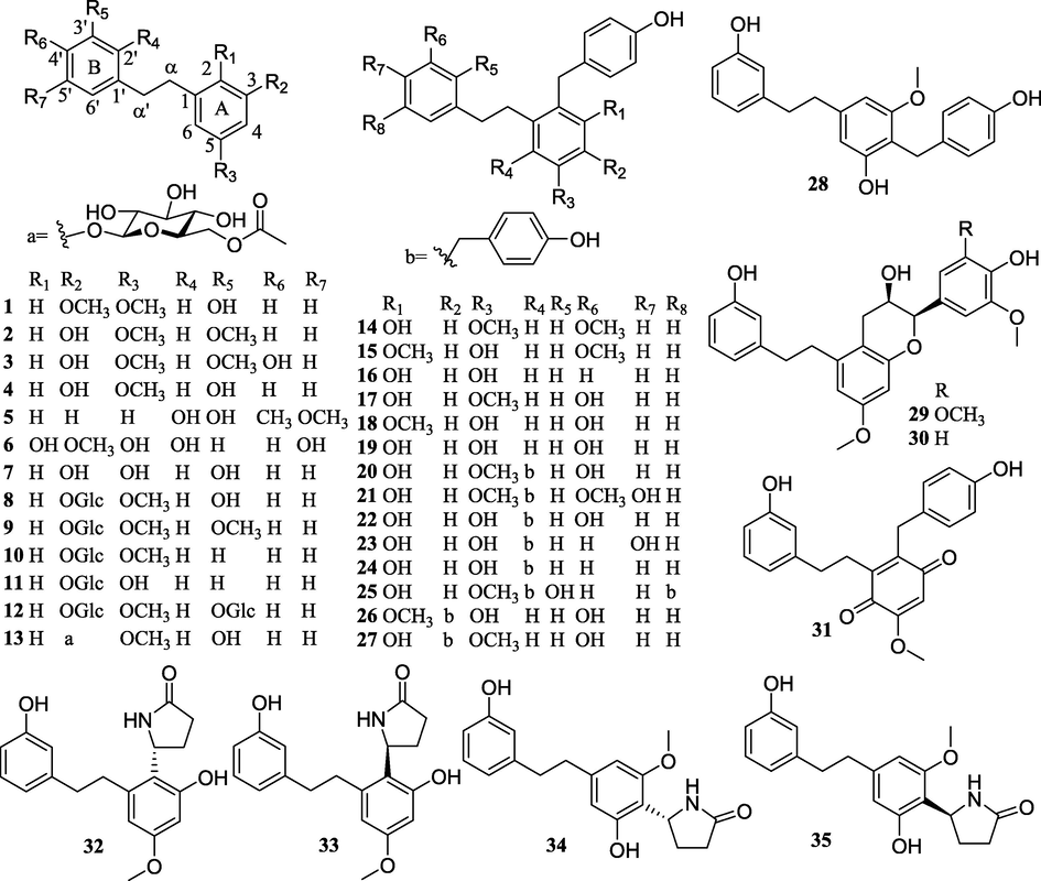 Structures of bibenzyls isolated from PCsP.