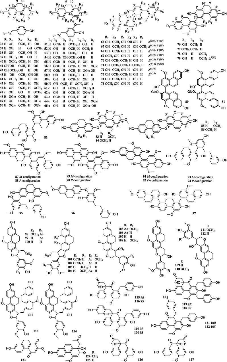 Structures of phenanthrenes isolated from PCsP.