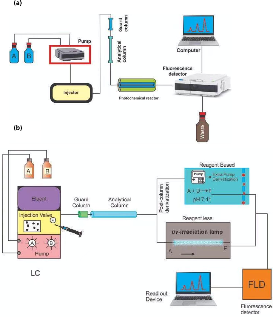 Systematic diagram of (a) liquid chromatography coupled with post-column uv irradiation fluorescence detection system; (b) comparison of post-column reagent-based and UV irradiation-based derivatization.