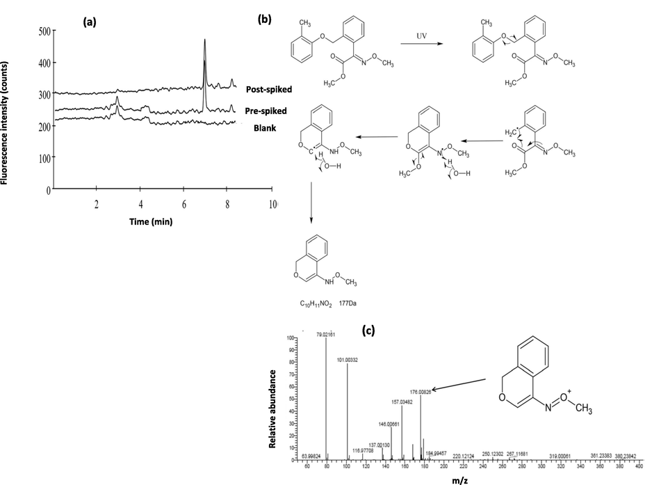 (a) Chromatograms of purple grape samples extracts; (b) proposed mechanism of ultraviolet irradiation photo-derivatization of kresoxim-methyl; (c) Mass spectrum of photo-derivatized 1.0 × 10-6 mol/L kresoxim-methyl. Reprinted from (Toloza et al., 2020) with permission from Taylor & Francis.