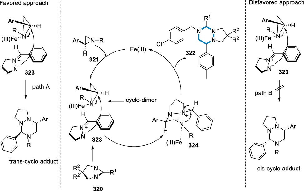 Mechanistic pathway for the synthesis of (Vitaku et al., 2014; Łowicki and Przybylski, 2022; Pyta, 2022)-triazines.