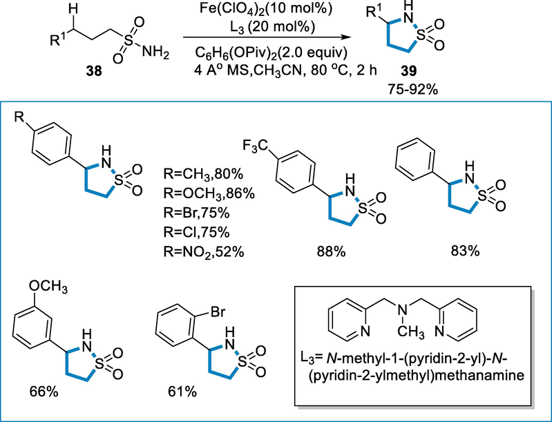 Intramolecular C-H(sp3) amidation by using an iron catalyst.