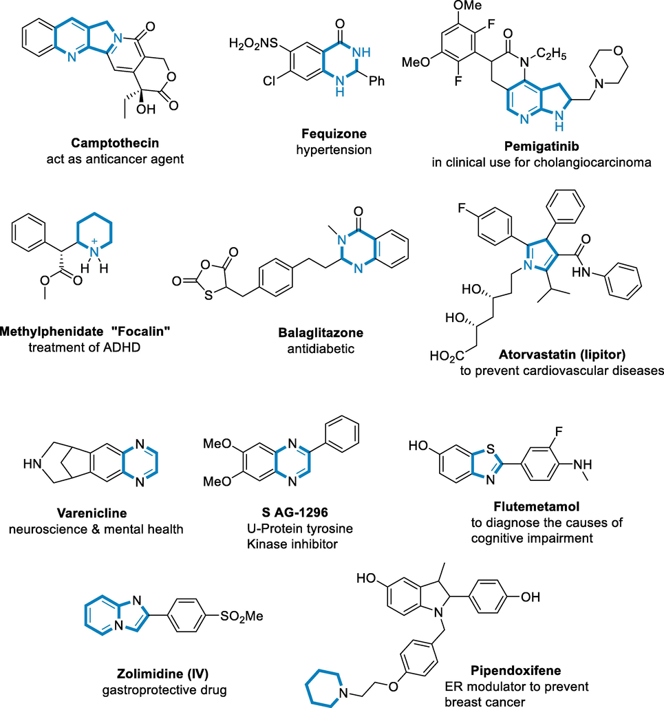 Some representative bioactive examples of N-heterocycles.