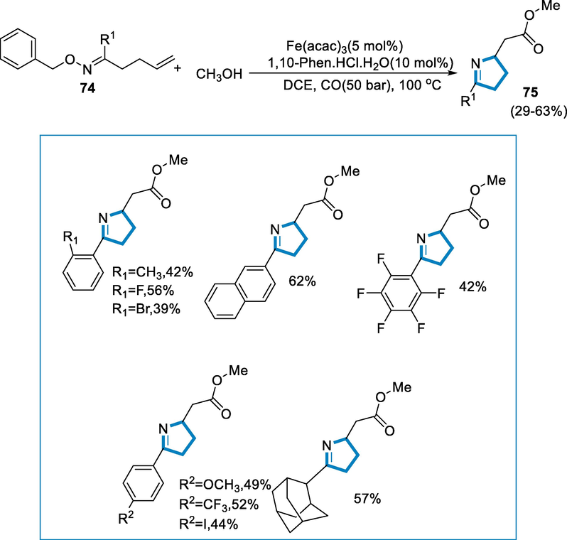 Intramolecular amination of alkenes for the synthesis of pyrrolines.