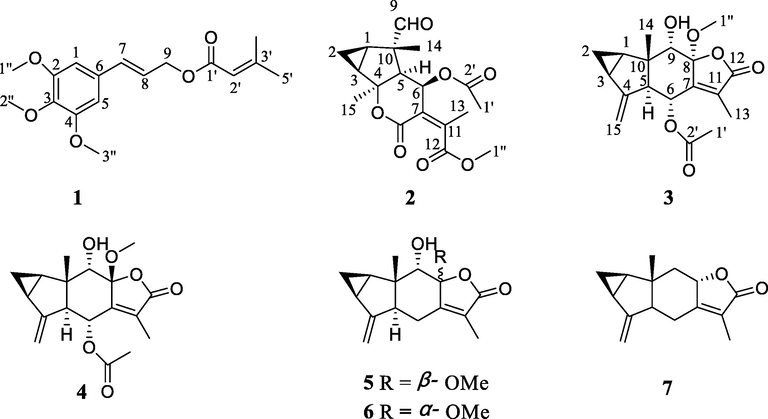 Chemical structures of compounds 1–7.