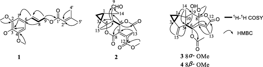 Selected 1H–1H COSY and HMBC correlations of compounds 1–4.