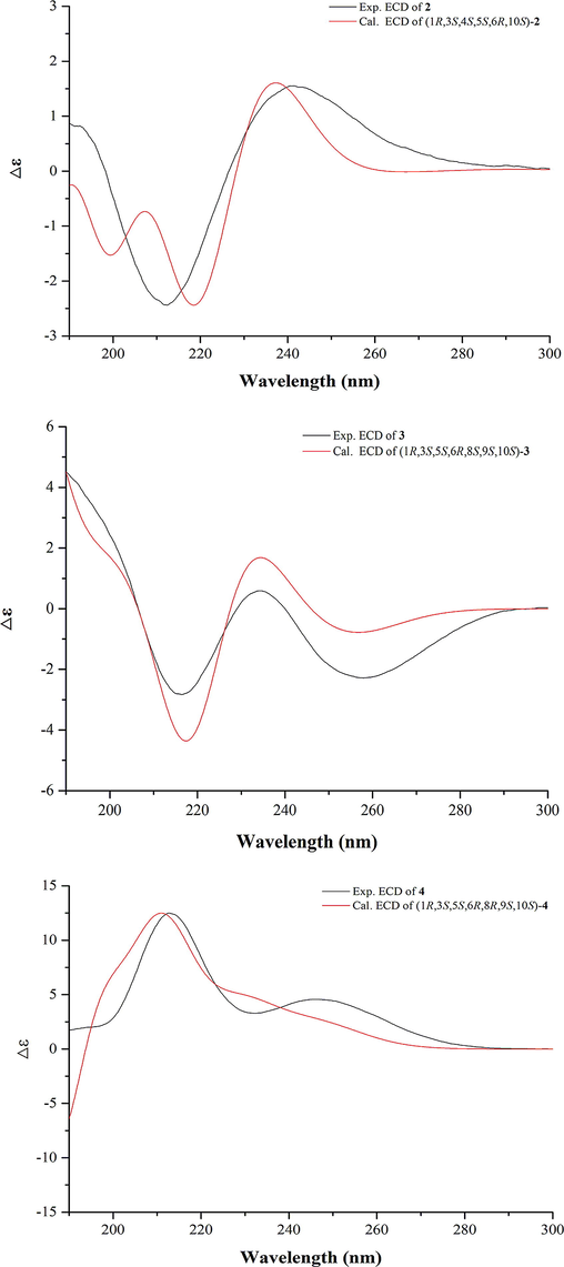 Calculated and experimental ECD spectra of compounds 2–4.