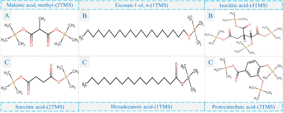 Sililated structures of the major compounds present in the acetate extract of leaves and callus of H. sabdariffa. A: Leaves; B: Callus; C: Both.