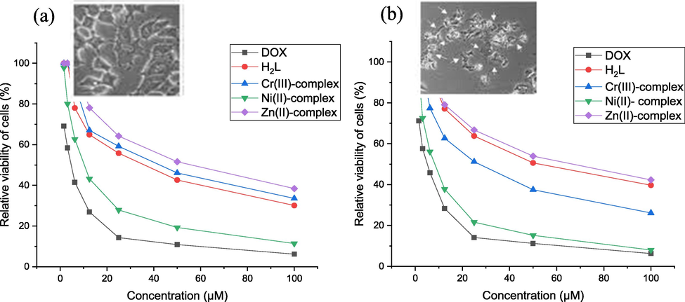 In vitro antitumor activity of Doxorubicin, H2L and isolated compounds against (a) breast cancer (MCF7) (b) liver carcinoma (HePG2).