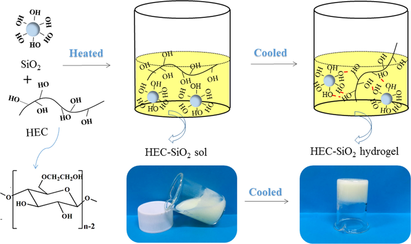 Schematic diagram of preparation of HEC/SiO2 hydrogel.