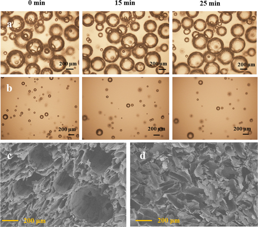 Variations of the bubbles in HEC/SiO2/C3N4 with time: (a) HEC/SiO2/C3N4-80, (b) HEC/SiO2/C3N4-50; SEM images of the different solid foams: (c) HEC/SiO2/C3N4-80, (d) HEC/SiO2/C3N4-50.