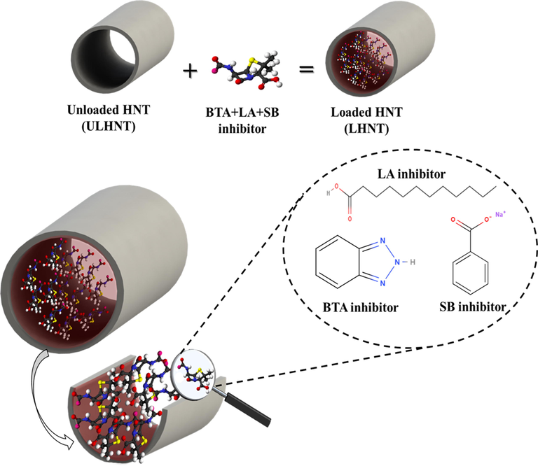 Loaded HNT (LHNT) with BTA + LA + SB inhibitor.