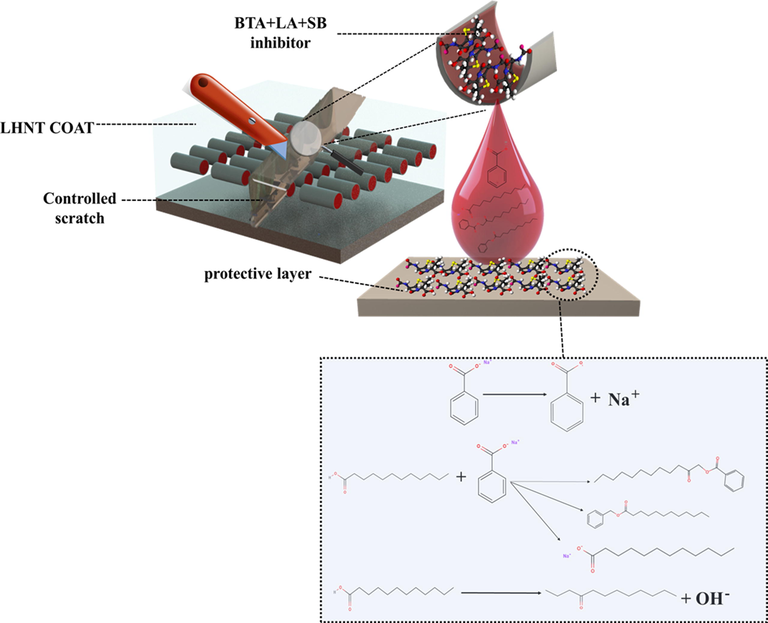 Inhibition analysis of LHNT COAT and BTA + LA + SB inhibitor.