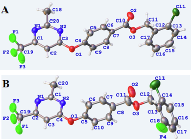 The crystal X-ray structures of compounds 5d (A) and 5f (B).