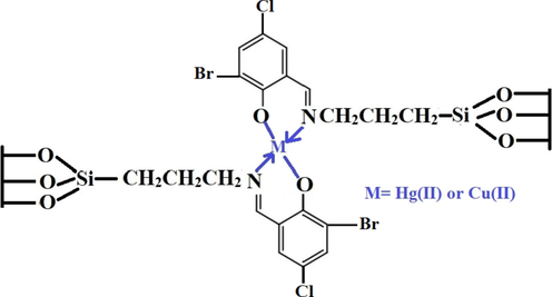 Adsorption mechanism of mercury and copper ions onto the sodium aluminum silicate hydrate/3-bromo-5-chlorosalicylaldehyde composite.