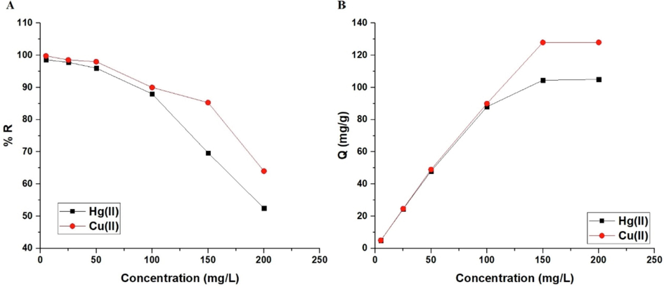 The influence of concentration of the mercury or copper solution on % removal (A) and adsorption capacity (B).