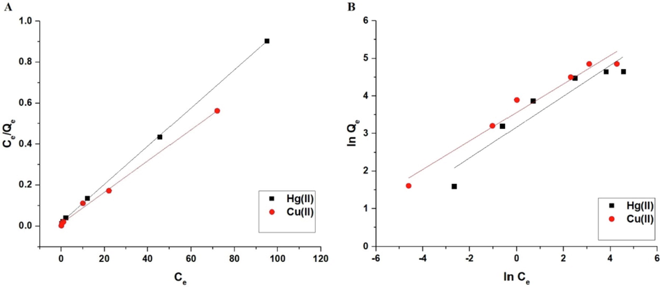 The Langmuir (A) and Freundlich (B) isotherms.