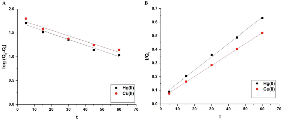 The pseudo-first-order (A) and pseudo-second-order (B) kinetic models.