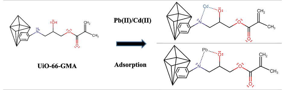 Adsorption mechanism of Pb(II) and Cd(II) onto UiO-66-GMA.