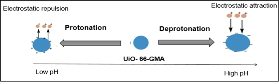 Schematic impact of solution pH on the UiO-66-GMA surface charge.