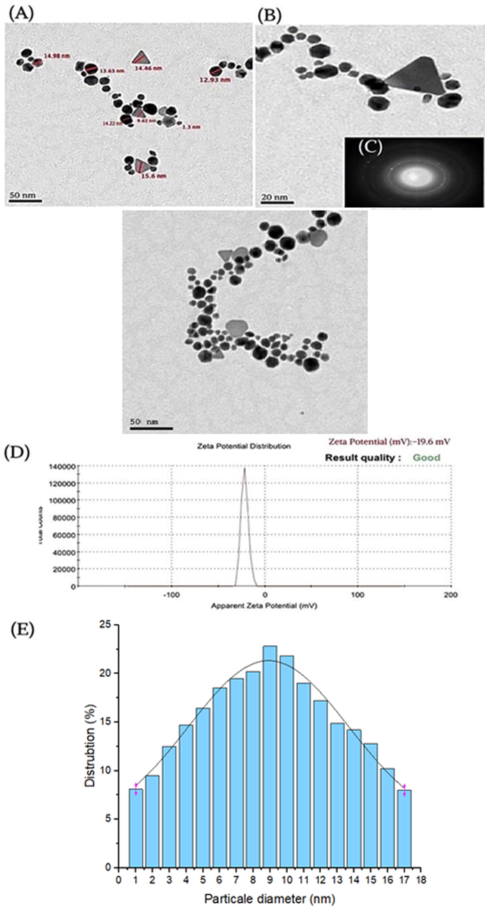 TEM (A), HRTEM images (B), HAAD-STEM images (C), Zeta potential (D) and corresponding size distribution graph of Ephedra -AuNPs (E).