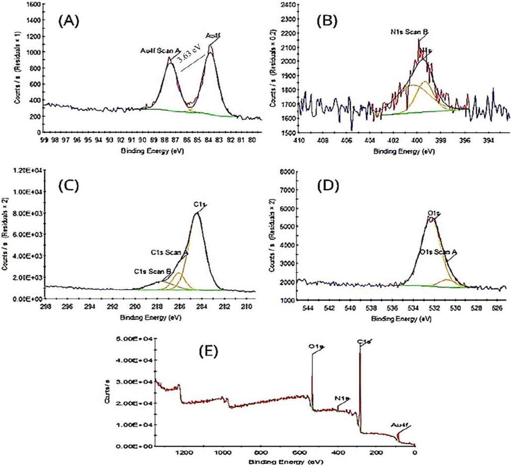 XPS analysis showing survey scan (A), (B) N1s, (C) C1s (D) O1s (E) Ephedra -AuNPs.