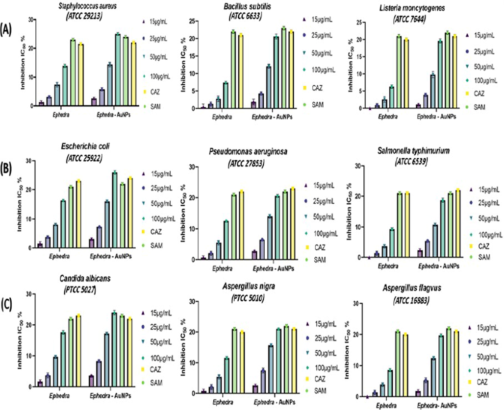 (A) Antibacterial Gram-Positive bacteria activity of Ephedra extract and Ephedra-AuNPs, (B) Antibacterial Gram-negative bacteria activity of Ephedra extract and Ephedra-AuNPs and (C) Antifungal activity of Ephedra extract and Ephedra-AuNPs.