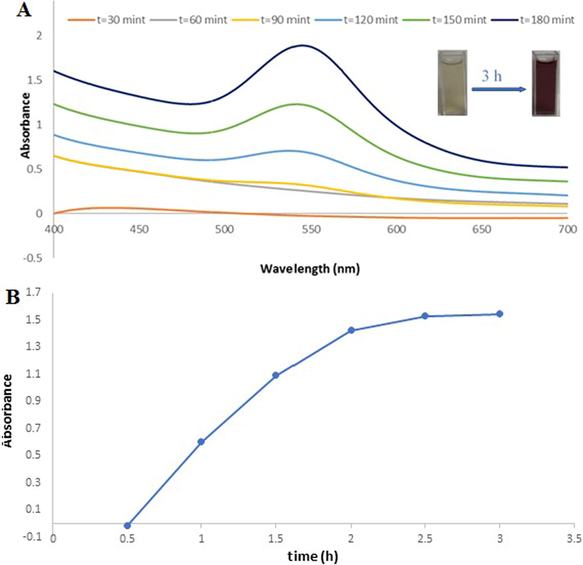 (A)U.V-Vis spectra of Ephedra -AuNPs of 6 mL (HAuCl4·3H2O) (10−3)M with 4 mL of Ephedra extract at different time (30–180 min) at 25 °C, (B) Intensity variant within U.V-Vis. spectra of AuNPs as function of time.(0.5–3 h).