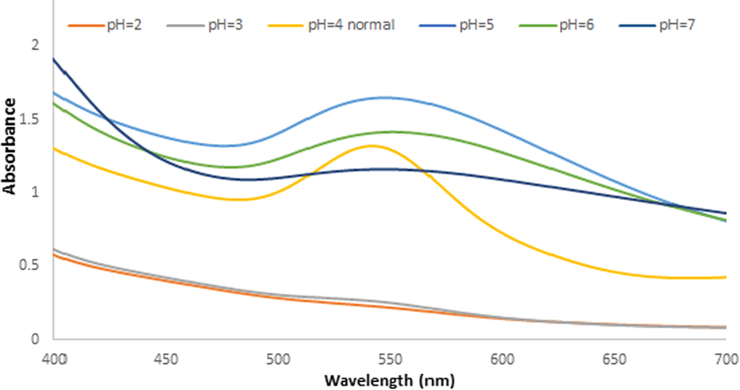 U.V-vis. spectra for Ephedra -AuNPs of 6 mL (HAuCl4·3H2O) (10−3)M with 4 mL of Ephedra extract at different PH(2–7) at 5 °C after 3 h.