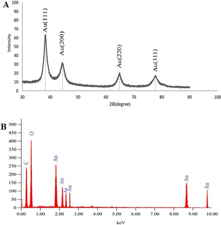 (A)X-ray diffraction pattern of Ephedra extract and Ephedra –AuNPs, (B) EDX image of Ephedra extract mediated AuNPs synthesized.